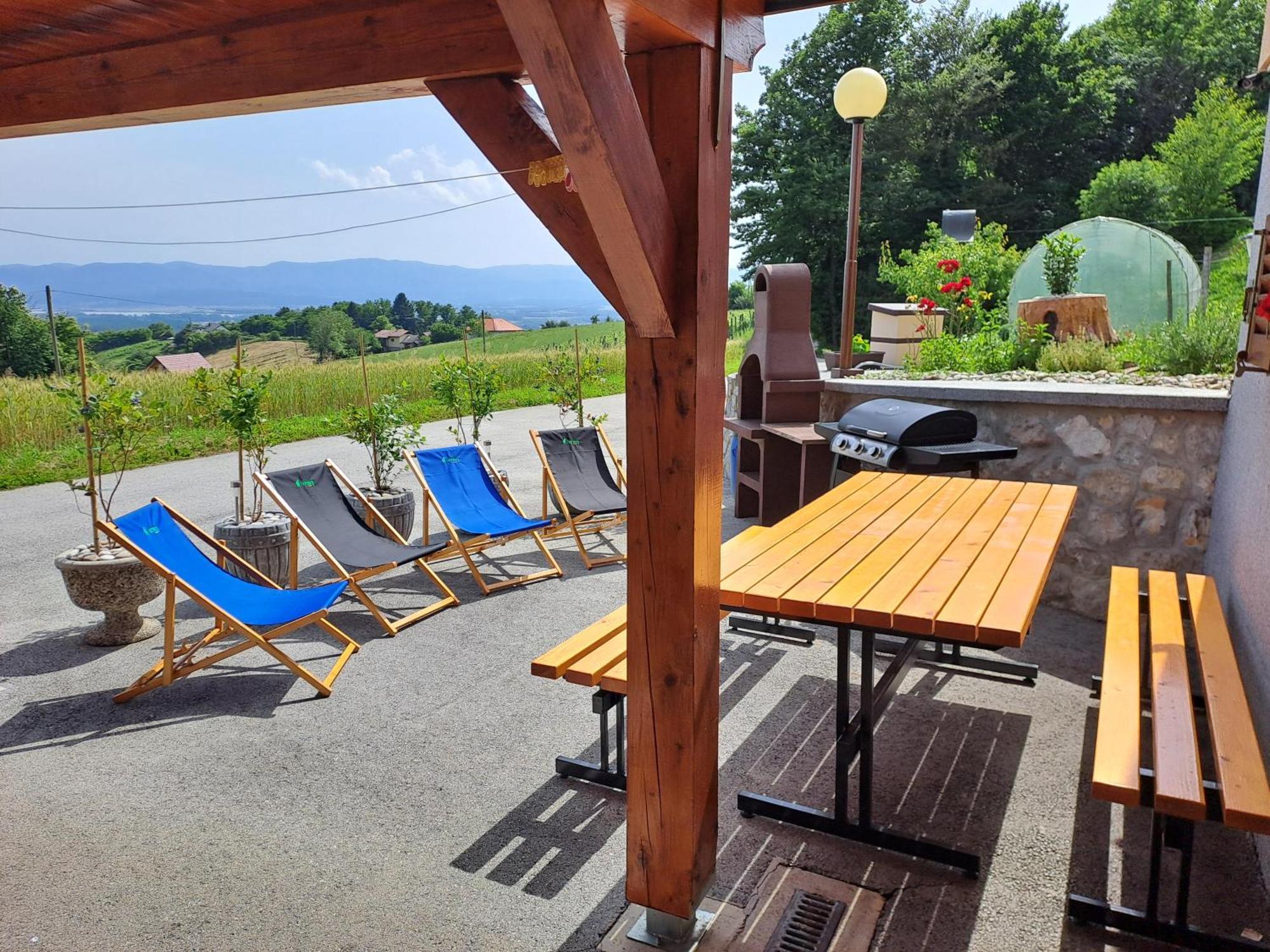 Apartments Jernej With Onsite Wellness Brežice Eksteriør bilde